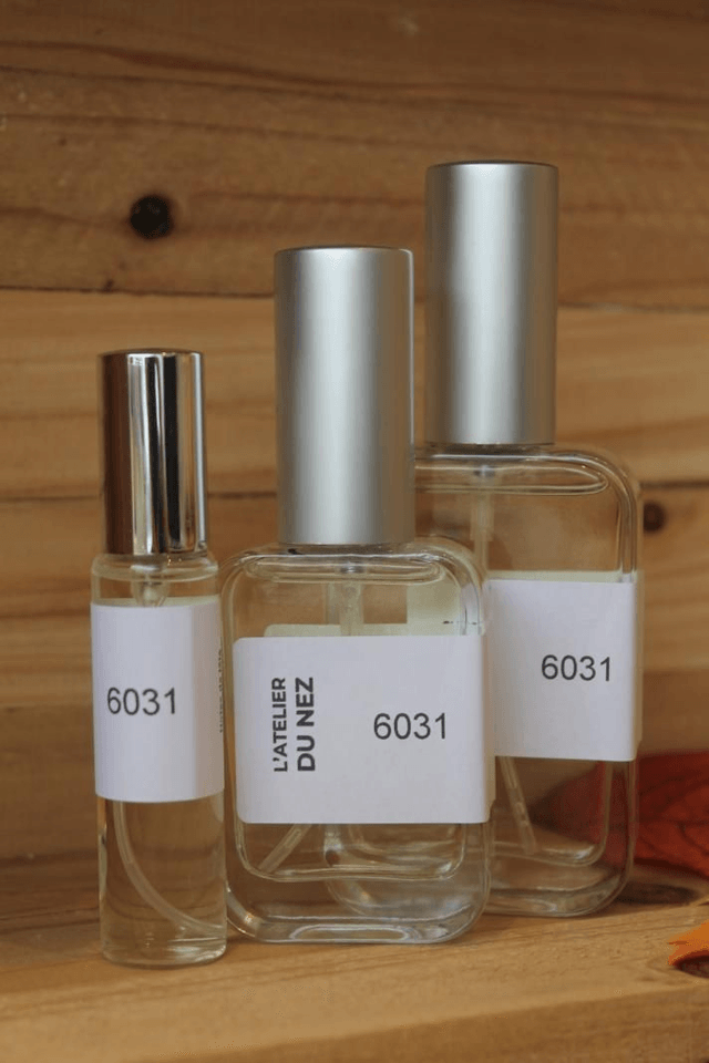 Le 6031