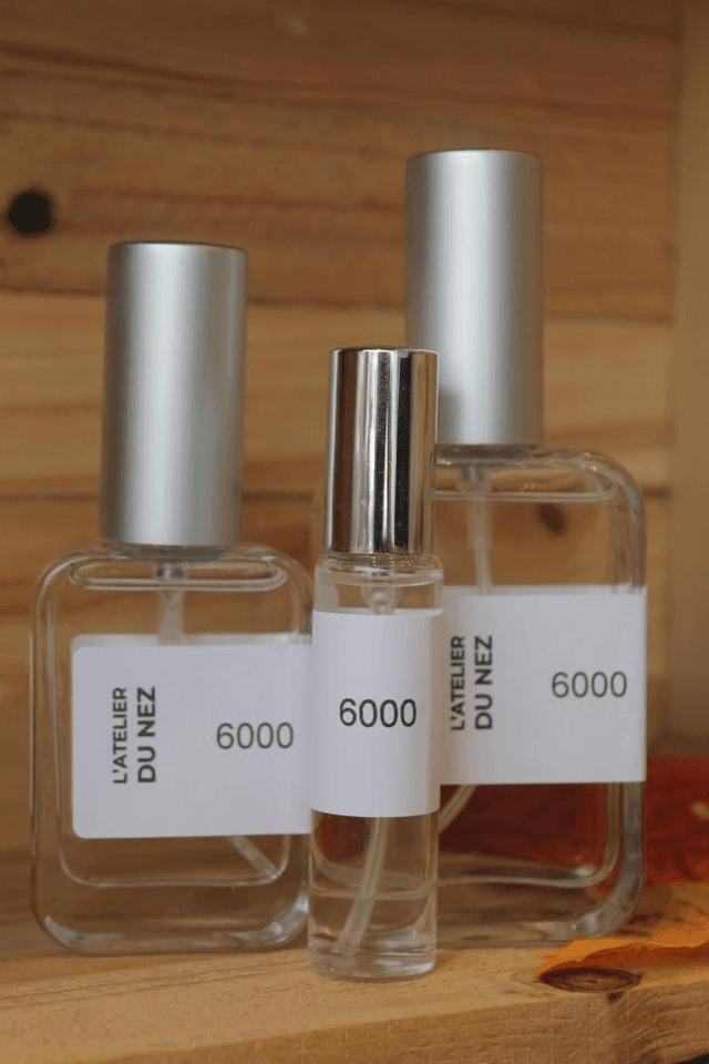 Le 6000