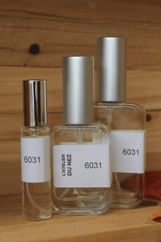 Le 6031